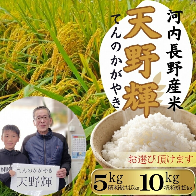【ふるさと納税】【2026年11月以降発送】令和8年産 新米 天野輝 にこまる（内容量をお選びいただけます）大阪府 河内長野市産 白米 甘み 粘り ブランド米 米 こめ コメ 子ども 食育 減農薬 安心 安全 新米 河内長野市米 eco米 食味 白米 ごはん 銘柄米 ブランド 単一米