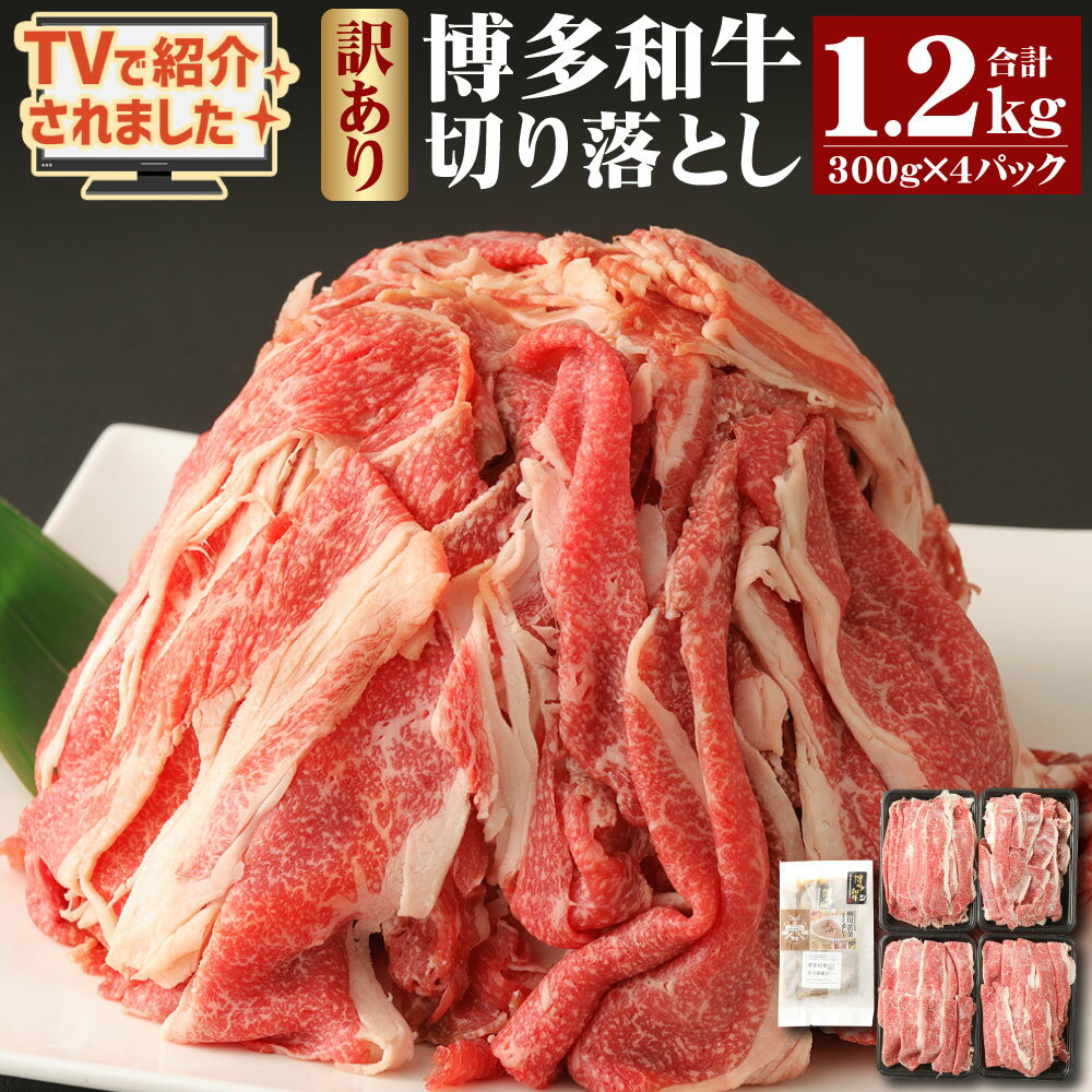 訳あり 柳川産博多和牛 九州産黒毛和牛 切り落とし 300g×4パック 合計1.2kg 博多和牛の黄金カレー 1食付き セット 博多和牛 黒毛和牛 牛肉 お肉 カレー 九州産 国産 冷凍 送料無料