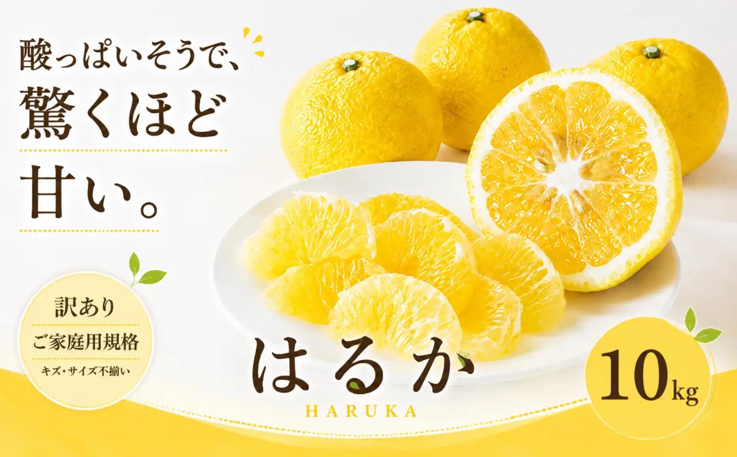 ＜訳あり 愛媛県産はるか 合計約10kg＞『2027年2月上旬～3月下旬迄に順次出荷予定』 上品な甘さ 甘い あまい 果汁 果物 くだもの フルーツ みかん オレンジ 柑橘 人気柑橘 特産品 株式会社OSN 愛媛県 西予市 【常温】OOS0016