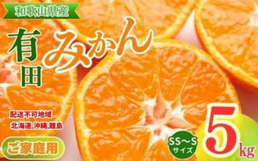【ご家庭用】和歌山有田みかん約5kg(SS、Sサイズ) 〇｜ みかん ミカン mikan 有田みかん s ss 5kg 柑橘 温州ミカン 温州みかん 先行予約 ※北海道・沖縄・離島への配送不可 ※2025年11月上旬～2026年1月下旬頃に順次発送予定