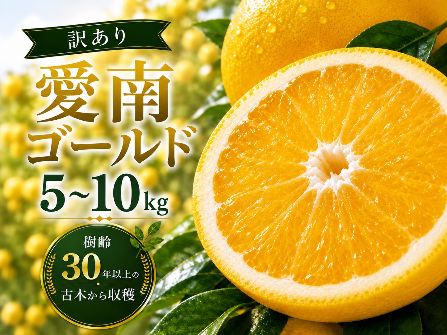 
                  【先行予約】2027年発送 選べる内容量 愛南ゴールド（ 河内晩柑 ）5kg 6kg 10kg 大玉 8kg 贈答用 5kg 【発送期間 3月下旬～5月上旬 】  なくなり次第終了 蜜柑 みかん グレープフルーツ 柑橘 かんきつ 果実 果物 くだもの フルーツ 河内晩柑 かわちばんかん 愛南ゴールド あいなんごーるど 美生柑 みしょうかん 前田ファーム 愛媛県 愛南町
                