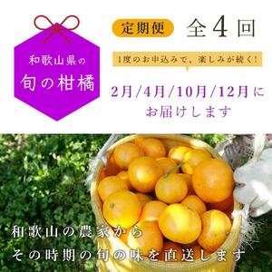 【 2・4・10・12月 全4回 】 柑橘定期便B【IKE6】