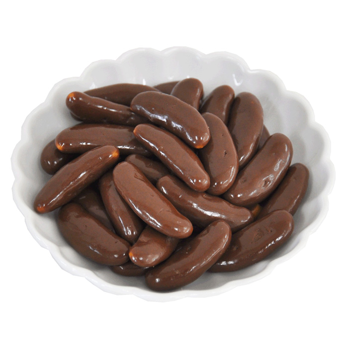 【でん六】柿の種 チョコ Eサイズ 34g×10袋 FZ23-999