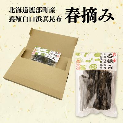ふるさと納税 鹿部町 【北海道鹿部町産】白口浜真昆布 春摘み 50g(50g×1)SS51 |  | 03