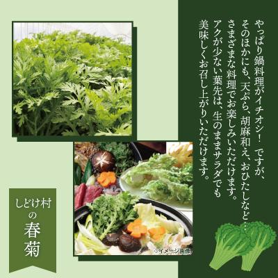 ふるさと納税 大館市 春菊 新鮮で風味豊か! 約3,000g |  | 02