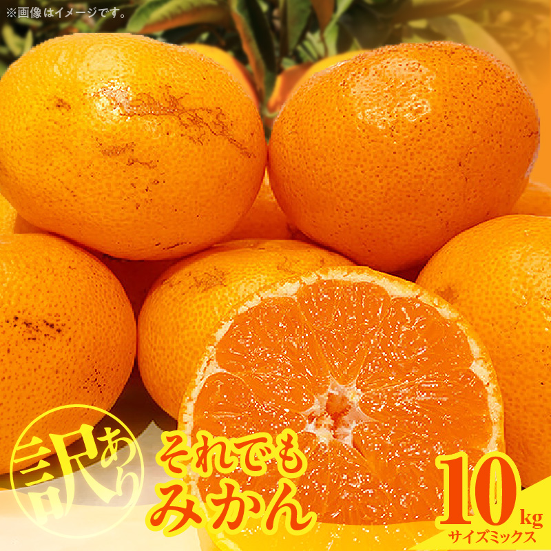 【2026年先行予約】訳あり それでも みかん 箱込 10kg ( 内容量 9.2kg ) サイズミックス Ｂ品 有田みかん 和歌山県産 産地直送 家庭用【みかんの会】<br>_MK1036