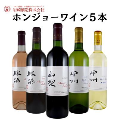 ふるさと納税 甲州市 ホンジョーワインおススメ5本セット