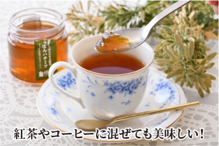 超濃縮すっぽんエキスの極上コラーゲン！和食料理人渾身の一品「すっぽんはちみつ」 150g × 2 [A-6403]