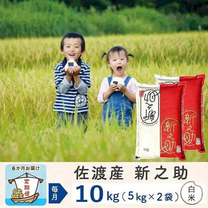 【定期便 6回 新米】白米 10kg 計60キロ | 新之助 新潟県 佐渡市
