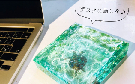 インテリア【飾れる海】 アートブロック エメラルドグリーンの海とカメ スケルトン ＜Studio KAI by濱村裕二/  Yuji hamamura＞ [CDH018] 海 マリン ビーチ インテリ