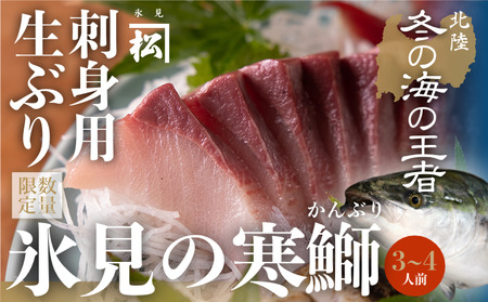 ＜先行予約＞ 【魚問屋直送】天然「生ひみ寒ぶり」刺身用 約400g＜アラ付き＞ 