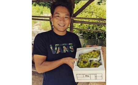 【2025年先行予約】 ぶどう 岡山県産 晴れの国からの 贈り物 オーロラブラック & シャインマスカット 詰合せ 1.2kg以上(2房)《2025年9月上旬-9月中旬出荷》 葡萄 ブドウ フルーツ