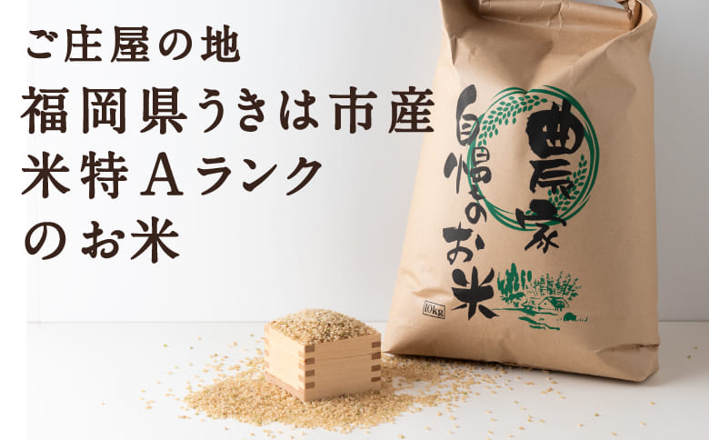 【特Aランク米】五庄屋の地で作ったお米 ひのひかり 玄米 (30kg)【Go庄屋合同会社】ヒノヒカリ こめ コメ ごはん ご飯 福岡県うきは市産 九州産 玄米 ひのひかり 30kg
