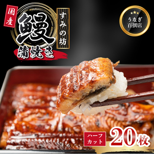 うなぎ蒲焼 10尾 ハーフカット20枚 国産うなぎ 冷凍