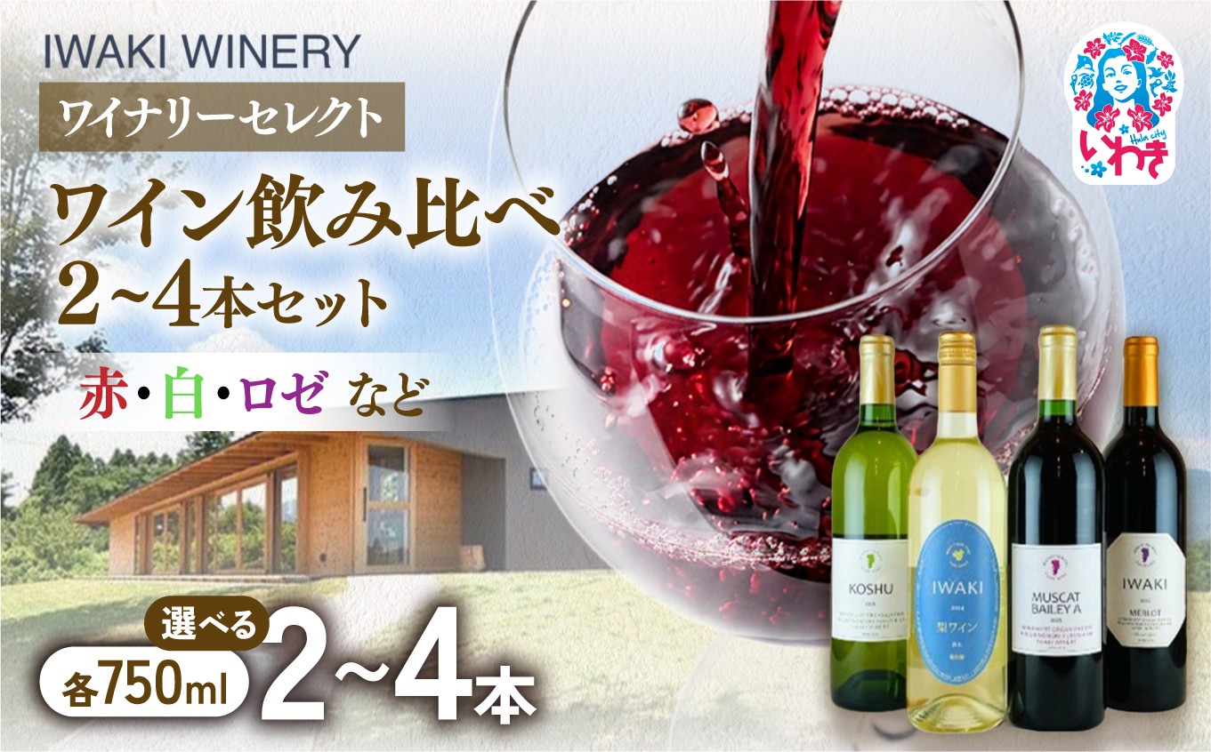 
                  【選べるセット】いわきワイナリー ワイン2本セット/4本セット 各750ml | いわきワイナリー セット いわき市 ワインセット 日本ワイン 赤ワイン 白ワイン ロゼワイン 飲み比べ ぶどう使用 国産ぶどう 果実酒 ワイナリー醸造 おまかせセット セレクトワイン 詰め合わせ なし | CR004-oya
                