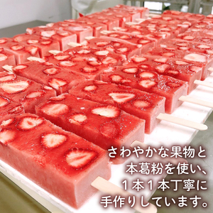 葛アイス 10本入 溶けないアイス アイスバー フルーツアイス アイスキャンディー アイス詰め合わせ アイスセット 低カロリーアイス ヘルシーアイス 本葛使用 F06_02