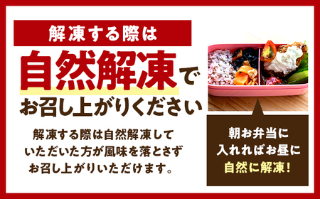 若狭フィッシュフライ (9切れ×1パック) 若狭湾産 マヒマヒフライ 特製タルタルソース付き Kitchen Boo/ 冷凍惣菜 お弁当 自然解凍で美味しい 小浜市 / タカノ 【配送不可地域：北海道