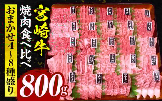 宮崎牛焼肉食べ比べ4種～8種盛り 合計800g_M243-016