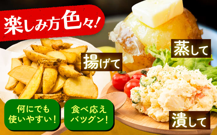北海道産 じゃがいも きたあかり 10kg（LM混合）《足寄町》【党崎農場】ジャガイモ じゃがいも 国産 野菜 ポテト 芋 イモ いも 肉じゃが カレー キタアカリ きたあかり 道産 寒冷地 あしょろ