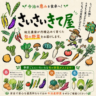 しまなみ彩野菜セット(今治産野菜の詰合せ)【VB00100】【配送不可地域：離島】
