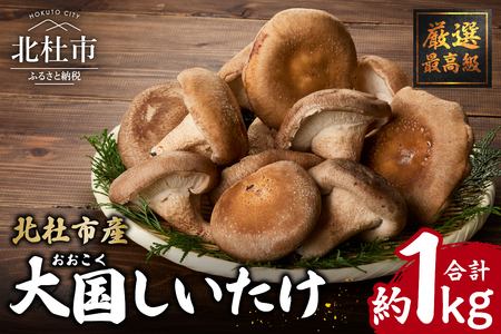 『大国しいたけ』菌床しいたけ　1kg 厳選 高級 椎茸 きのこ 肉厚 ジューシー 新鮮 山梨県産 北杜市産 [h122]