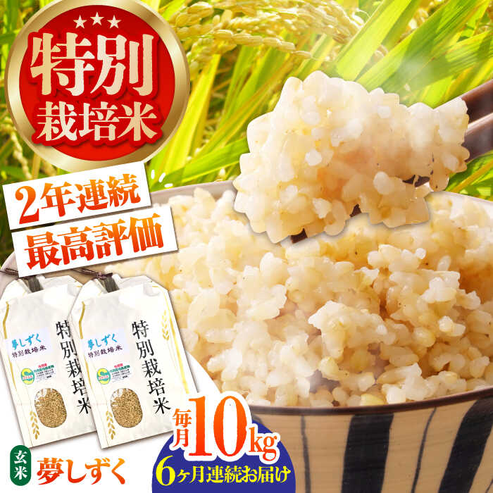 【ふるさと納税】【全6回定期便】特別栽培米「夢しずく」玄米10kg【だいちの家】特A米 特A評価[HAG025]