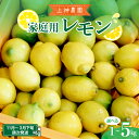 【ふるさと納税】家庭用 広島産 レモン 約1kg / 約5kg内容量が選べる レモン れもん 檸檬 柑橘 果物 フルーツ ビタミンC レモネード お取り寄せ ジューシー 栽培期間中低農薬 防腐剤不使用 ワックス不使用 広島県 呉市 酸味 爽やか 味は変わらず 瀬戸内海