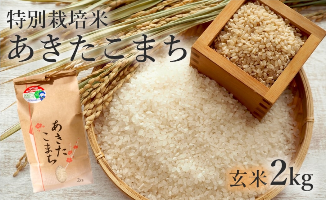 玄米 あきたこまち 2kg 令和7年産 米 こめ お米 おこめ 令和7年 特別栽培米 産地直送 ご飯 ごはん 秋田こまち 秋田 秋田県 能代市 特別栽培 減農薬