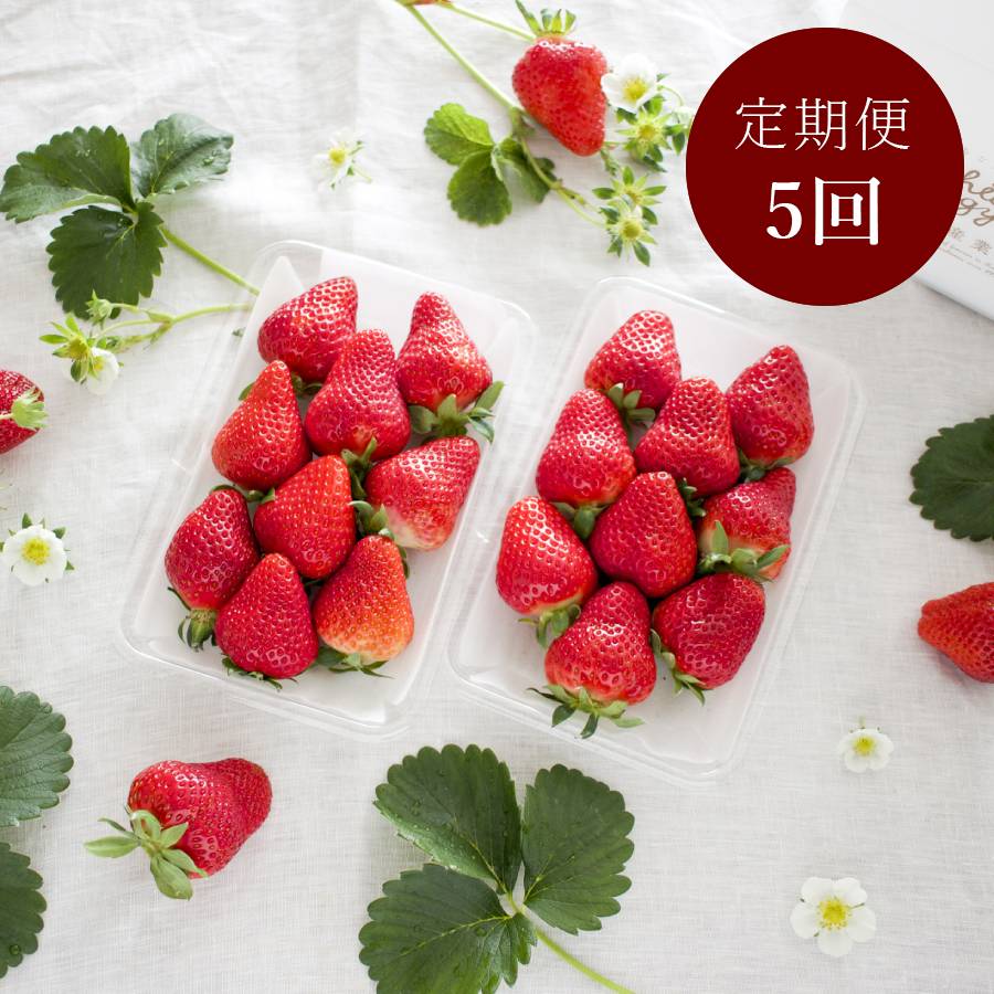 ＜いちご農家西岡農園＞勝占いちご270g×2パック【定期便5回】2026年1月開始