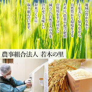 【令和6年産】＜３か月定期便＞特別栽培米 つや姫 42kg  ta248【若木の里】