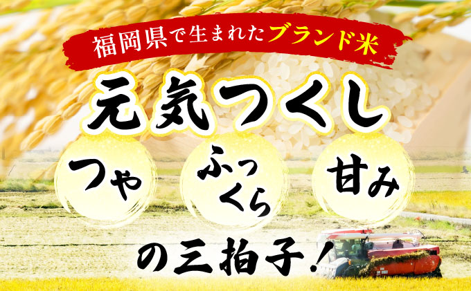 【12ヶ月定期便】 令和7年産 福岡県産米 元気つくし 15kg 精米 ※北海道・沖縄・離島は配送不可 CY013sub12