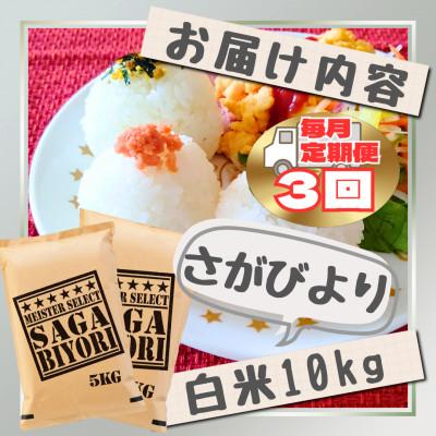 ふるさと納税 江北町 【毎月定期便】さがびより白米10kg【5kg×2袋】(江北町)全3回 |  | 02