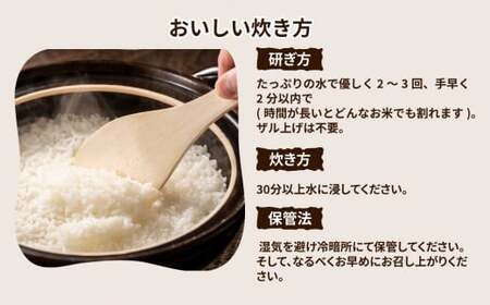 【先行予約】令和6年産 茨城県産 ミルキークイーン 精米5kg　※離島への配送不可　※2024年10月上旬頃より順次発送予定