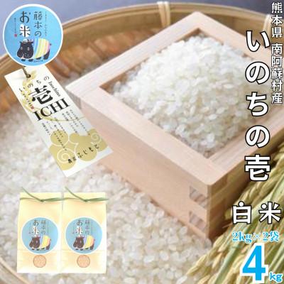 ふるさと納税 南阿蘇村 熊本県南阿蘇村産 令和7年産 特別栽培米 いのちの壱(白米) 計4kg(2kg×2袋)【虹色のかば】