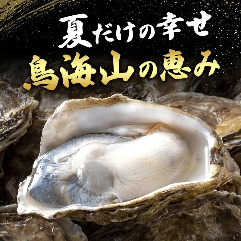 【先行予約】天然岩牡蠣 10～15個 生食可 象潟産 ナイフ無