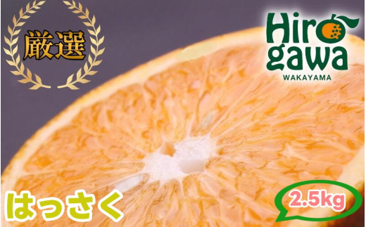 はっさく 2.5kg+250g（痛み補償分） 厳選 光センサー / 八朔 高級 甘い 和歌山 有田 柑橘 ※1月上旬〜4月上旬頃に順次発送予定 ※北海道・沖縄・離島への配送不可 【ikd021-p-2d5A】
