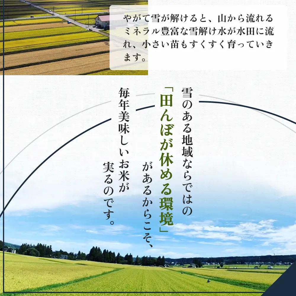 【先行予約】令和8年産 定期便 新之助精米2kg×3カ月