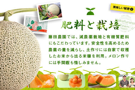 ふらのメロンティアラ（赤肉）2玉入り【AO-004】