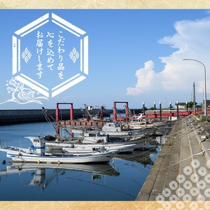 あおがざみ(計650g~700g・中サイズ) ワタリガニ　蟹 ボイル 海鮮 かに 冷凍 【101901900】【上野水産】