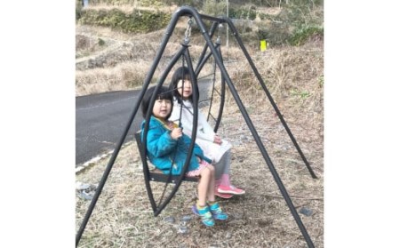 ツヨニーの 家庭用ブランコ 【葉っぱ ブランコ ワイドタイプ】［(S)1586］