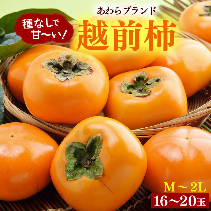 【ふるさと納税】【先行予約】越前柿 16～20玉入 M～2L 《種なしで食べやすく甘い！》 あわらブランド ／ 柿 期間限定 果物 フルーツ 産地直送 旬 お取り寄せ ※2026年10月中旬以降順次発送