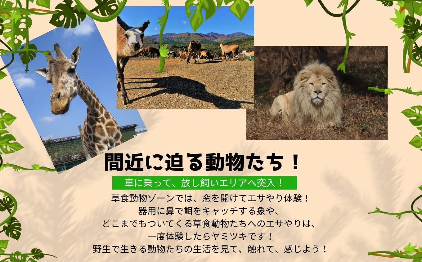 東北サファリパーク入園チケット 大人2名＋小人1名（ 入園チケット＋草食動物のエサ）【東北サファリパーク】