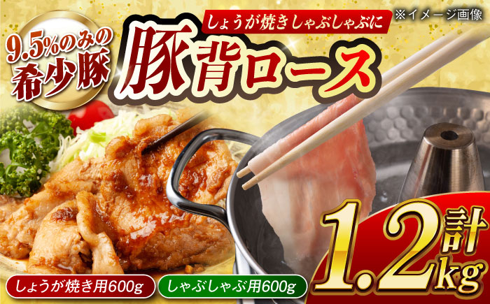 
                  【冷めてもおいしい♪】大西海SPF豚 背ロース（しょうが焼き用＆しゃぶしゃぶ用）計約1.2kg（各600g）長崎県/長崎県農協直販 [42ZZAA084]
                