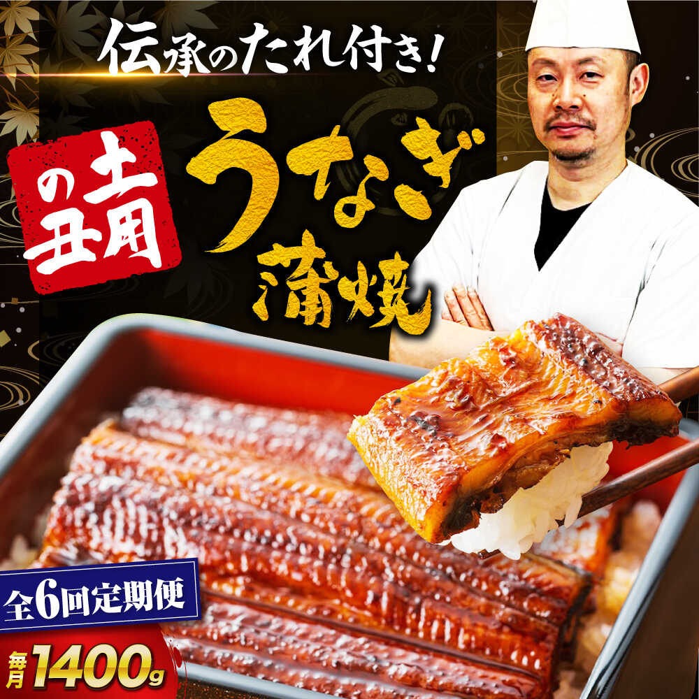 【ふるさと納税】【全6回定期便】 うなぎ 蒲焼き 冷蔵 真空パック 10尾セット（2尾×5箱） 愛媛県大洲市/有限会社 樽井旅館[AGAH026] うなぎ 国産 鰻 うな丼 鰻丼 うな重 鰻重 かば焼き 蒲焼 高級 丑の日 土用の丑の日 おすすめ 人気 お取り寄せ 送料無料 贈答 ギフト