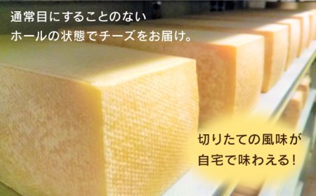 【糸島産生乳100％使用の手作りチーズ】コハク熟成 1ホール 糸島市 / 糸島ナチュラルチーズ製造所TAK-タック-[AYC011] チーズ 生乳 チーズ ナチュラルチーズ チーズセット チーズ詰め合