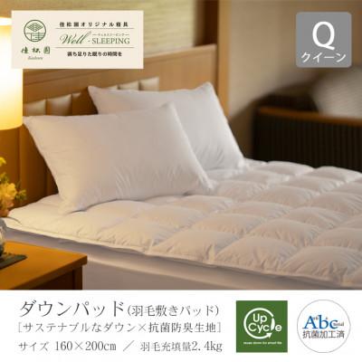 ふるさと納税 花巻市 ダウンパッド(羽毛敷きパッド)クイーン [サステナブルなダウン×抗菌防臭生地]