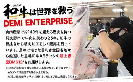 【4ヶ月定期便】極上 厳選 A5 ランク 特選 黒毛和牛 お試し セット 合計 3.4kg 株式会社Demi Enterprise《お申込み月の翌月から出荷開始》大阪府 羽曳野市 送料無料 牛肉 牛 