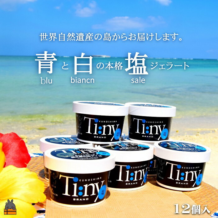 【ふるさと納税】〜南の島からお届けします〜青と白の本格塩ジェラートギフト ( ジェラート アイス 12個 塩 ミルク スイーツ 海 徳之島 奄美 鹿児島 美農里館 )
