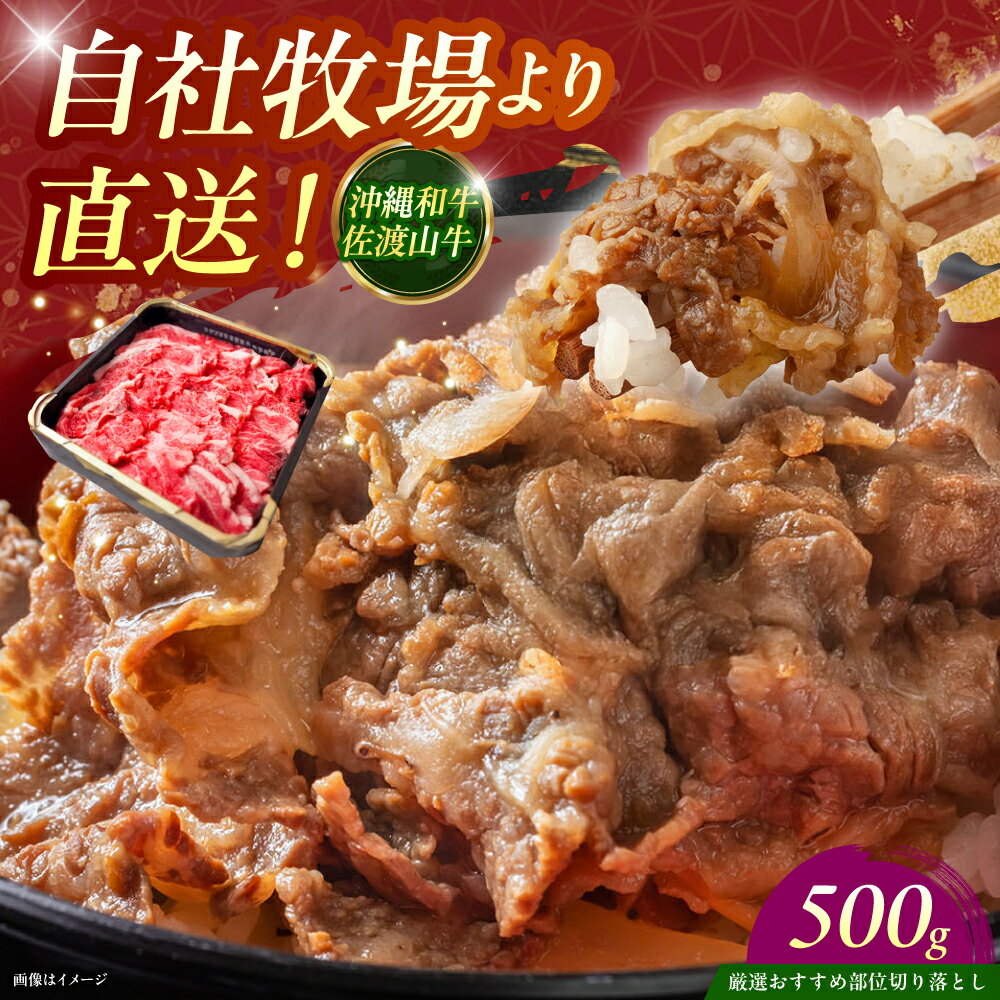 【ふるさと納税】【厳選！おすすめ部位】沖縄和牛 佐渡山牛 切り落とし 500g 牛肉 焼肉 焼き肉 和牛 赤身 人気 おすすめ 国産 極上 冷凍 沖縄市 / 肉のサブロー [BCBC002]