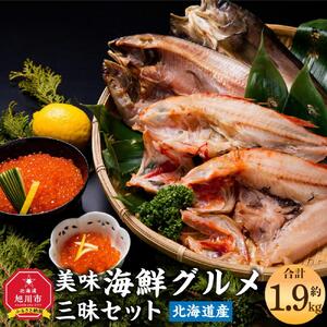 美味 海鮮 グルメ三昧セット 合計約1.9kg ほっけ きんき 干物 いくら | いくら _01703
